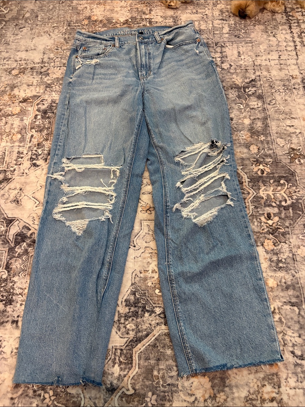 American Eagle Outfitters Light Blue Distressed Straight Leg Jeans
